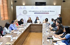 Presentan en el Congreso iniciativa de ley contra violencia química