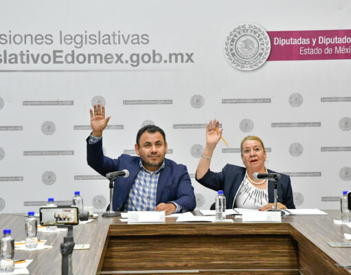 Van por comisión legislativa permanente en favor de la niñez