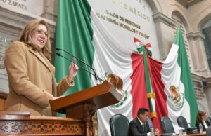 Proponen privilegiar especies nativas en labores de reforestación